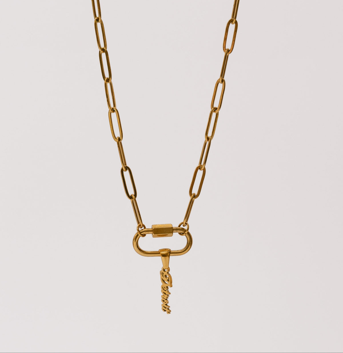 Detroit Carabiner Necklace